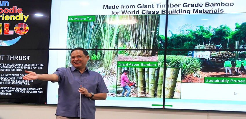 Iloilo Eyes Bamboo Boom: Sustainable Livelihood, Green Innovation On The Horizon