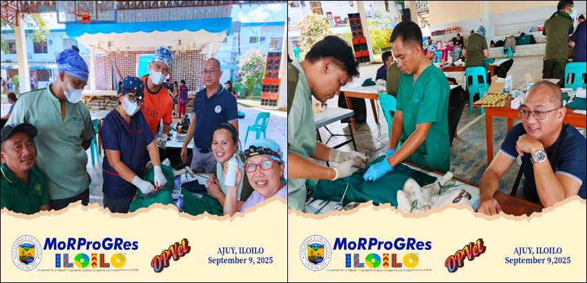 Ajuy Integrates Neutering Activity In Tambobo Festival